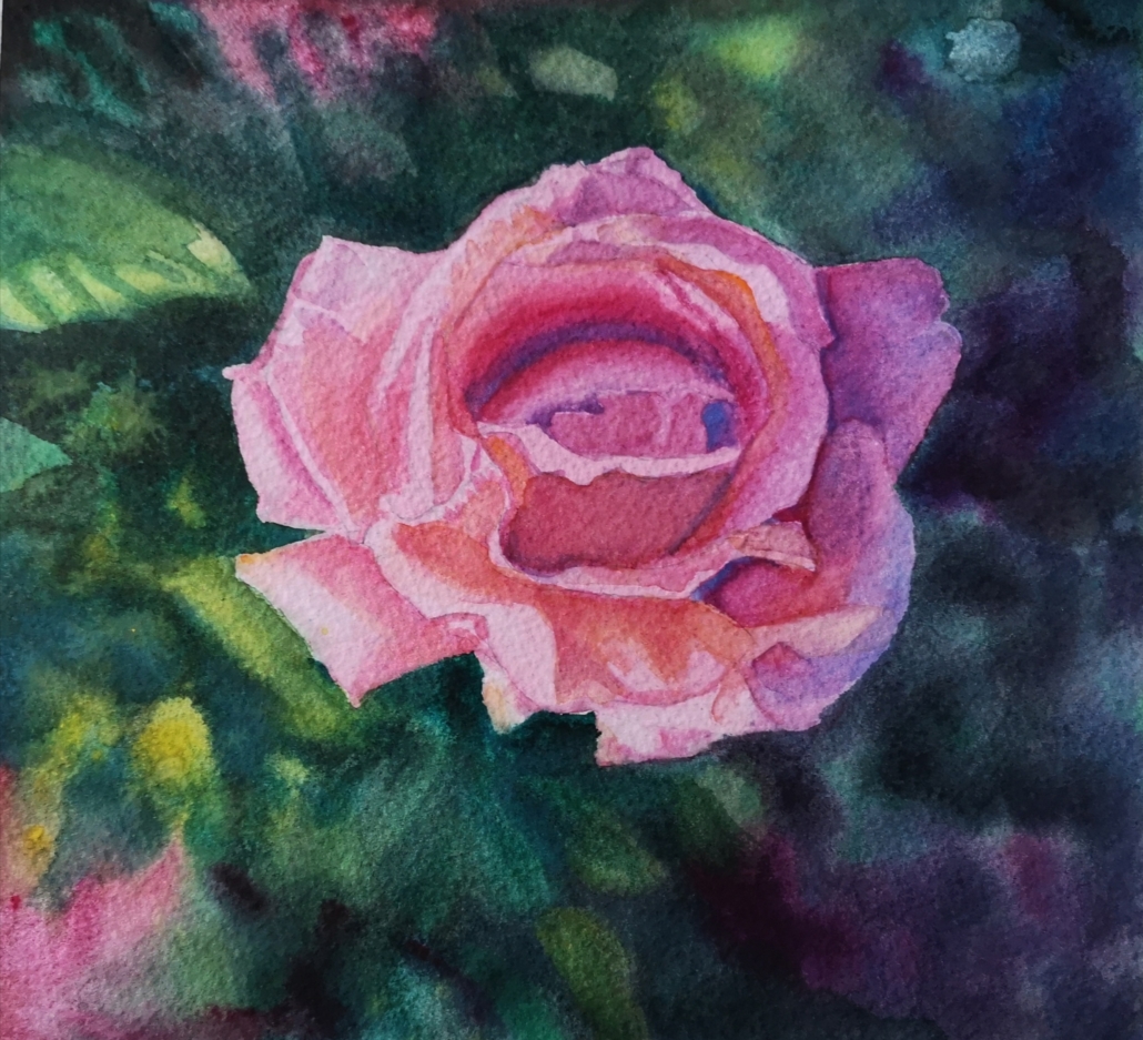 Rose aquarelle-Delphine Lelorrain