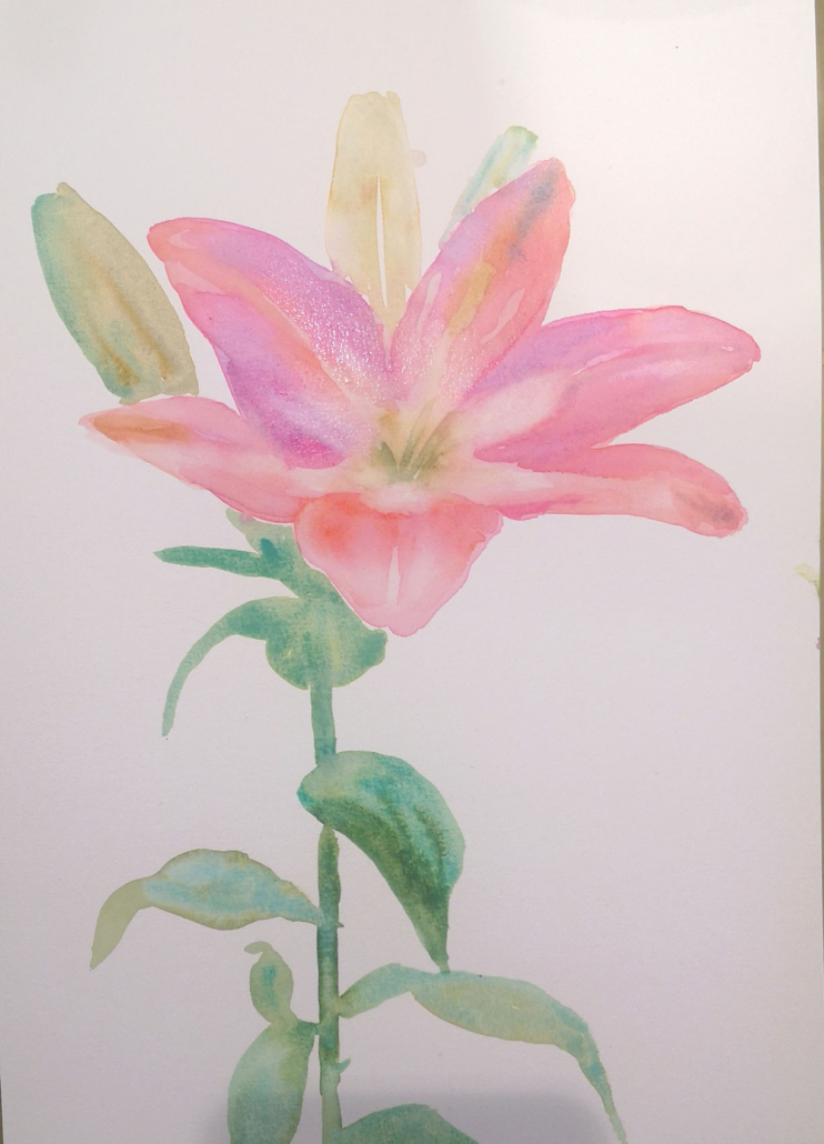 Fleurs spontanée à l'aquarelle