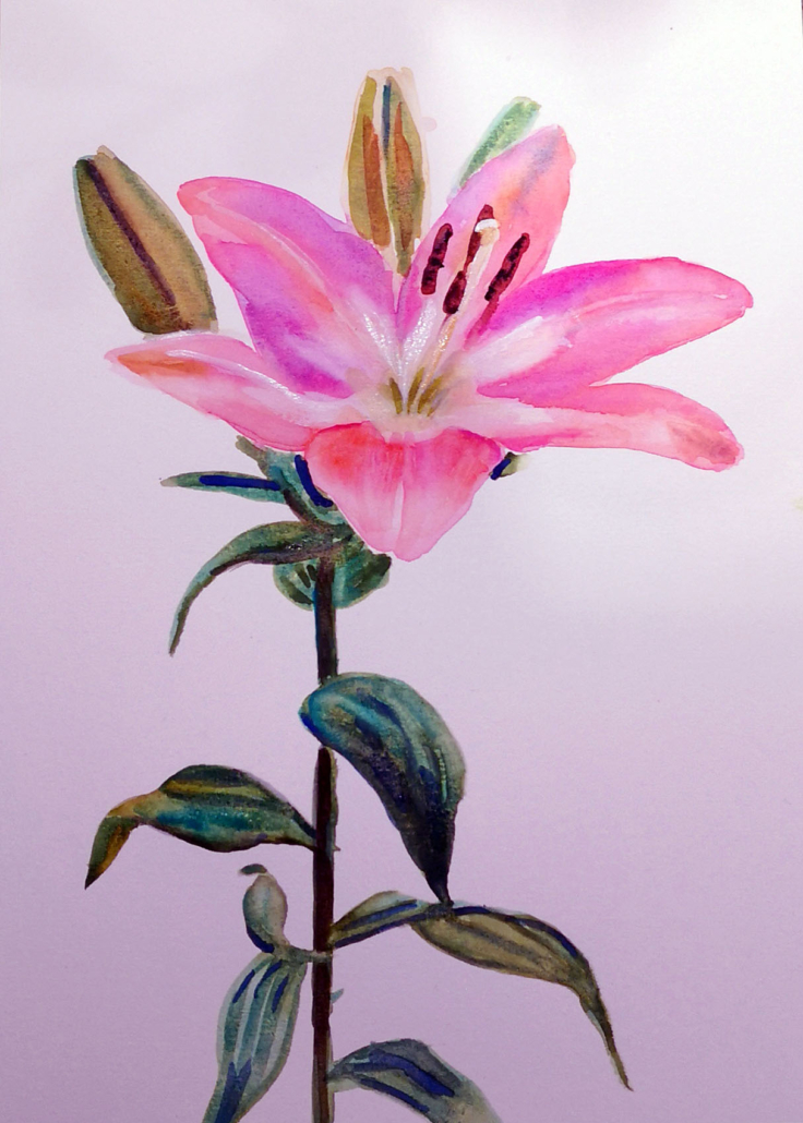 Fleurs spontanée à l'aquarelle